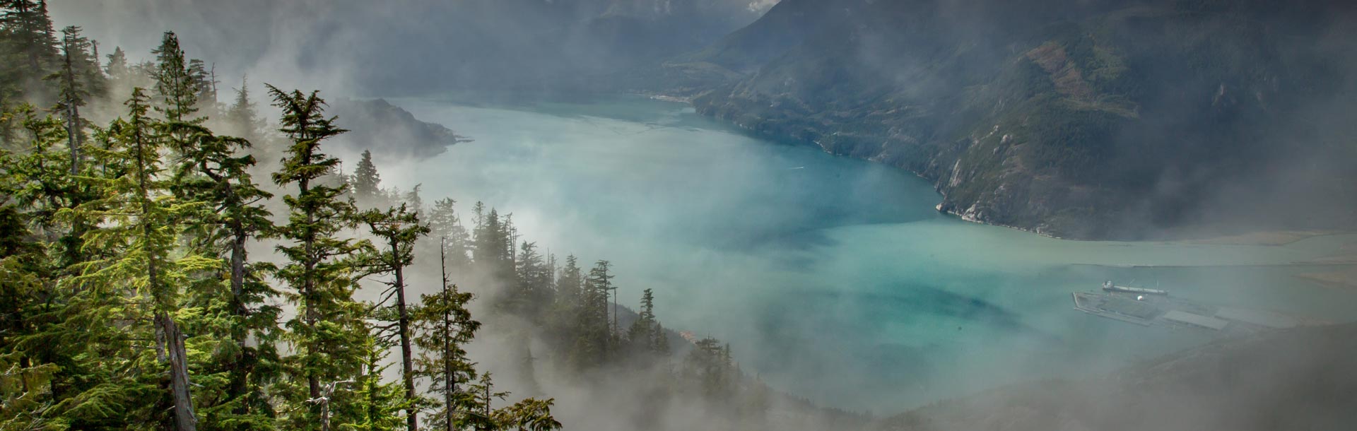rivière bordé de végétations, brume, Squamish, Canada