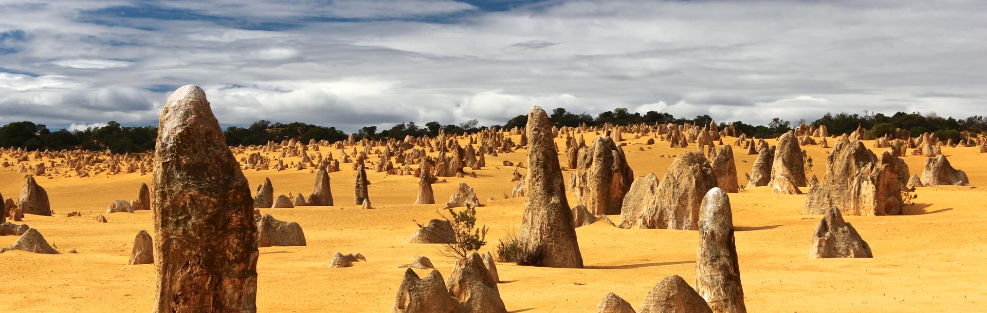 Désert de Pinnacles à Cervantes en Australie