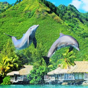 La Polynésie insolite, au cœur du Fenua
