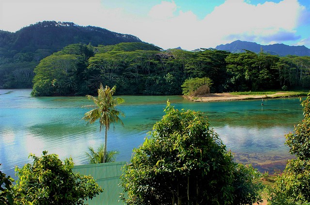 Vue sur la foret de Huahine