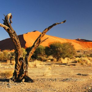 Le grand tour de Namibie