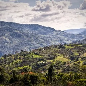 Trésors du sud colombien