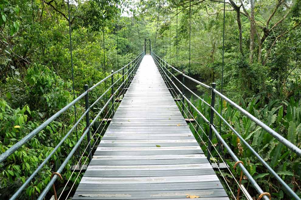 Pont suspendu dans la station biologique La Selva à Sarapiqui dans la région d'Alajuela au Costa-Rica