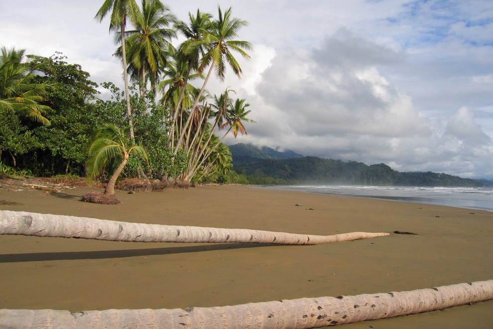 Parc national Ballenas, côté plage au Costa-Rica