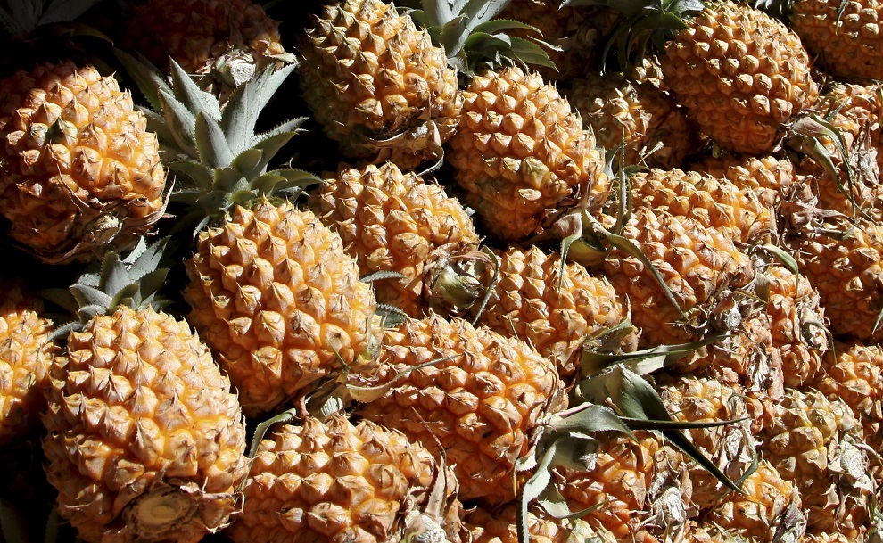 Ananas de l'île de La Réunion