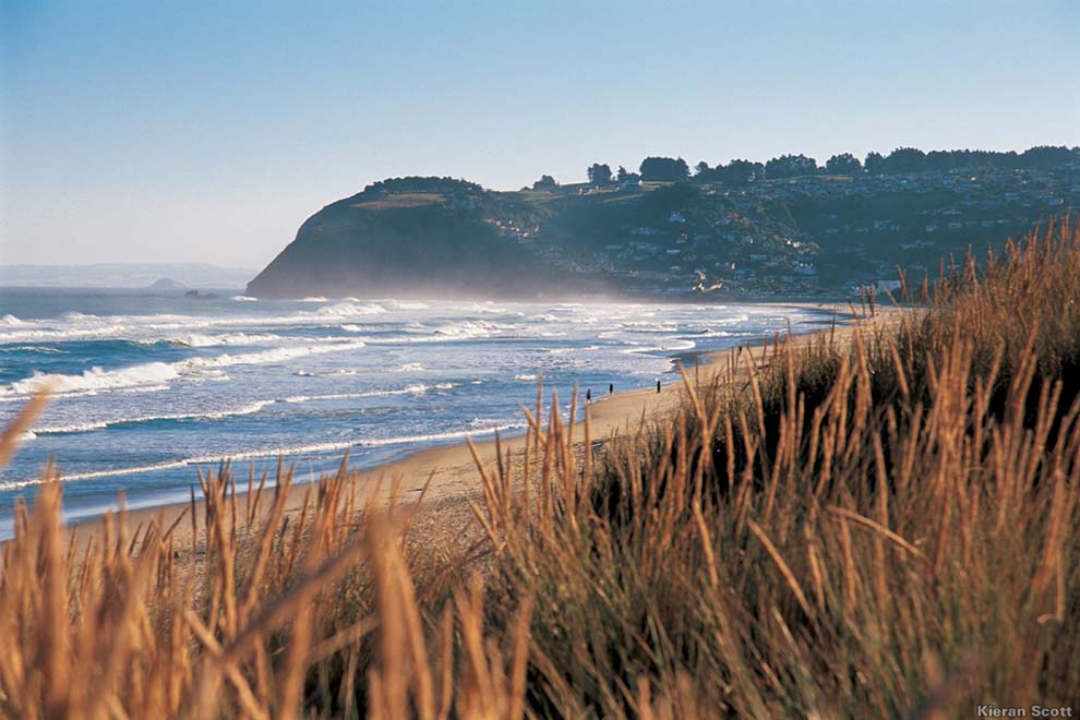 Plage de Dunedin sur l'ile Sud en Nouvelle Zélande