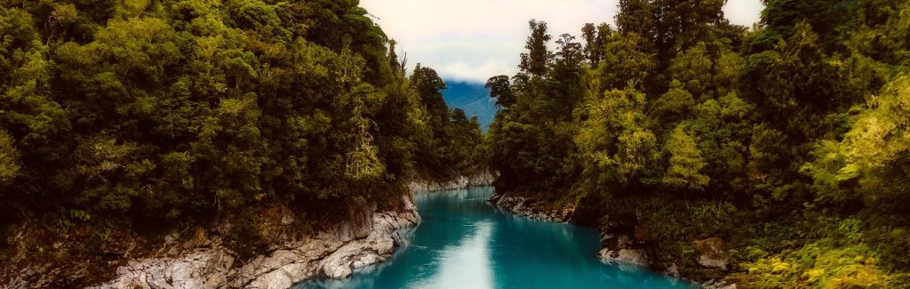 Rivière dans une forêt de Nouvelle Zélande