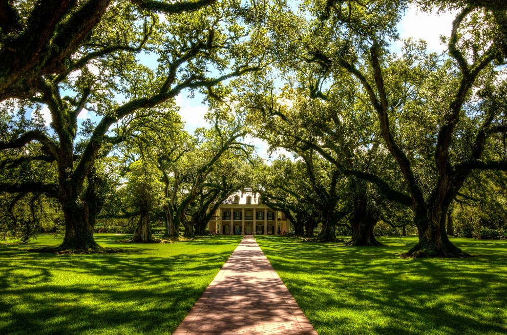 Plantation d'Oak Alley en Louisiane