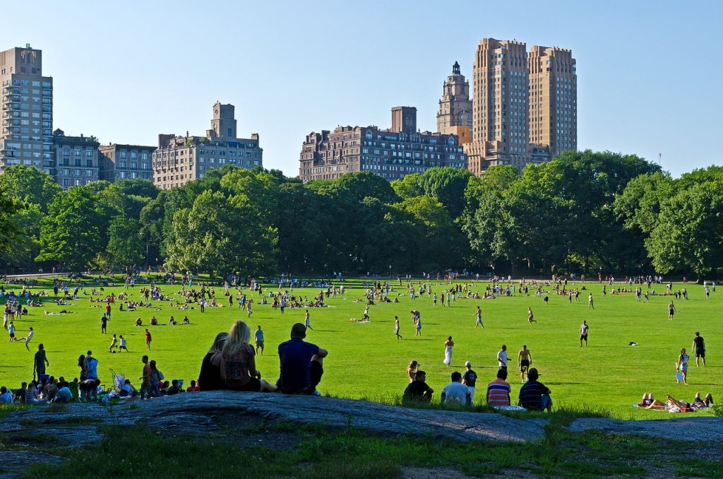 Vue sur Central Park à New York