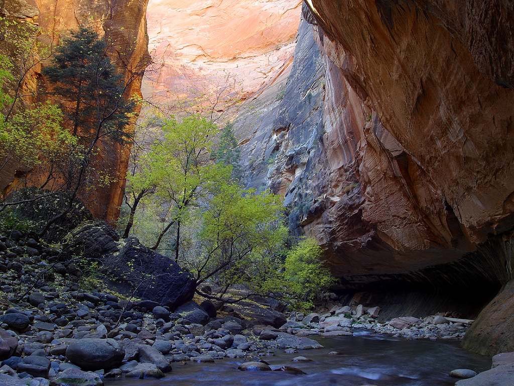 Parc national de Zion dans l'Utah