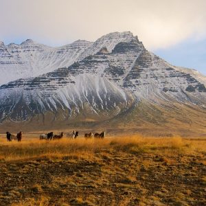 Panorama d'Islande, en été