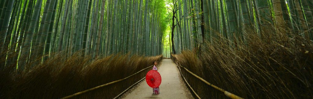 forêt de bambou femme ombrelle, Arashiyama, Kyoto, Japon