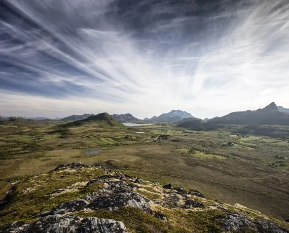 Paysage herbeux et montagnes en arrière plan en Norvège