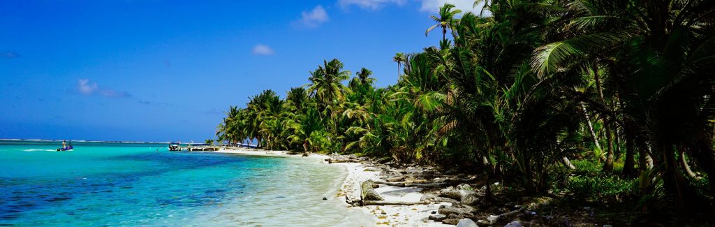 Plage de sable blanc et palmier de Panama