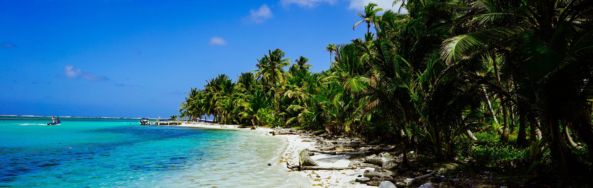 Plage de sable blanc et palmier de Panama