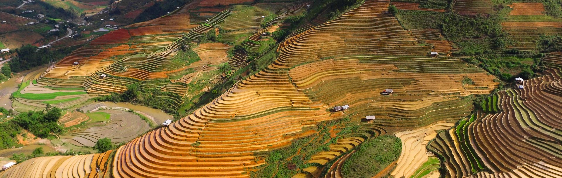 Etendue de champ au Vietnam