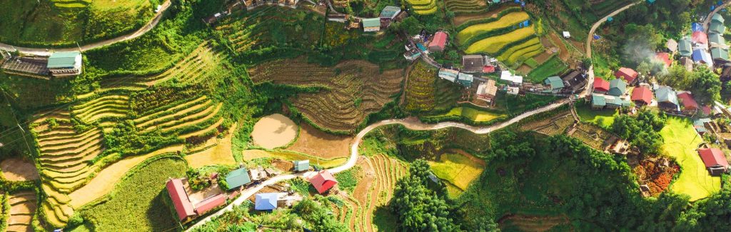 Champs de Sa pa et village au Vietnam