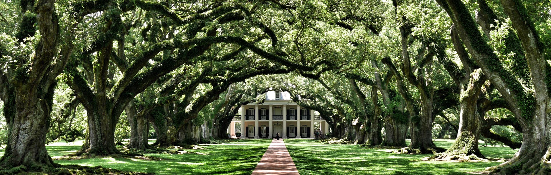 Allée arbres, maison coloniale grec, vacherie Oak Alley, Etats-Unis, Floride