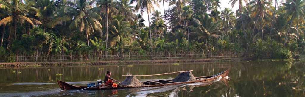 fleuve palmiers pirogue traditionelle, Alappuzha, Inde du Sud