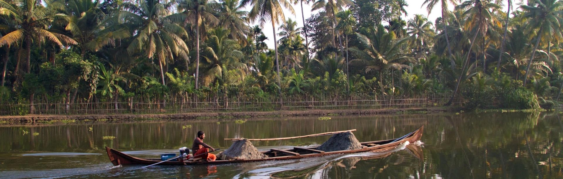 fleuve palmiers pirogue traditionelle, Alappuzha, Inde du Sud
