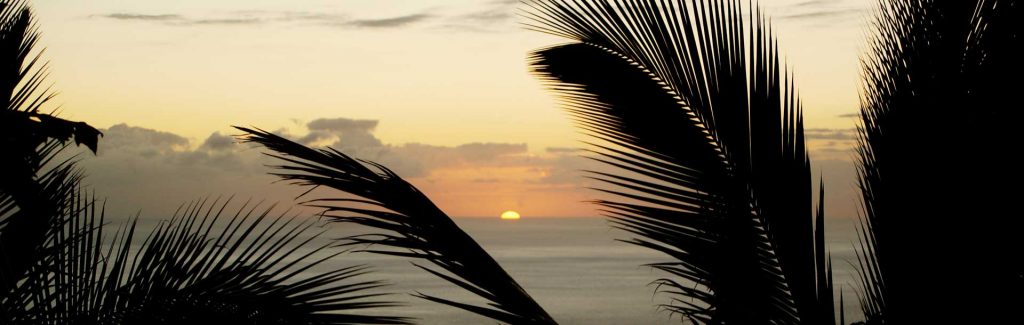 coucher de soleil entouré de palmiers à La Réunion