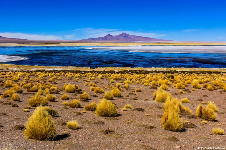 Salar de Tara de Atacama