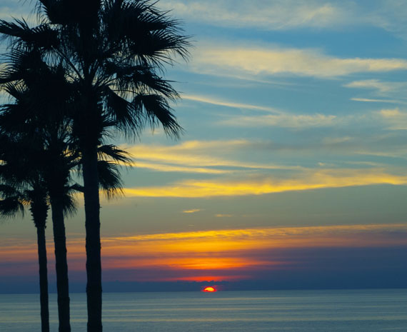 Coucher de soleil multicolore et palmiers en ombre
