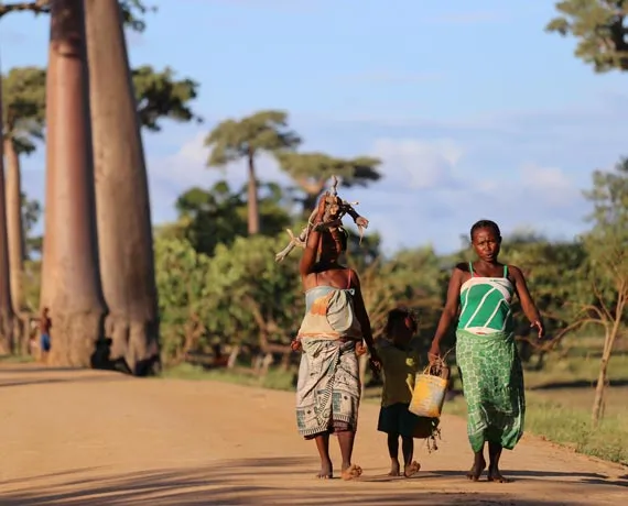 Famille marchant sur une route en terre et fond de baobabs
