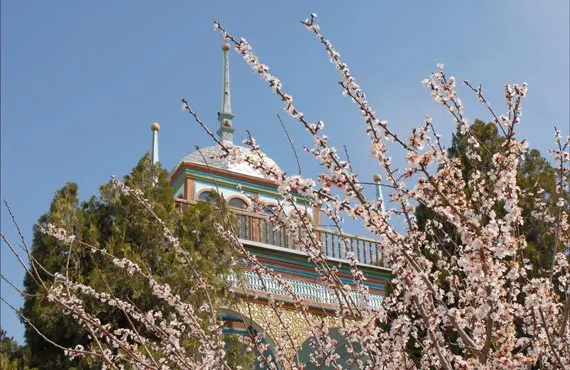 Cerisier en fleur devant un palais couvert de mosaiques
