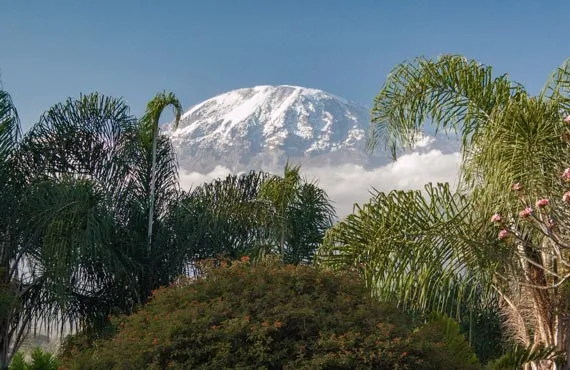 Mont du Kilimanjaro enneigé