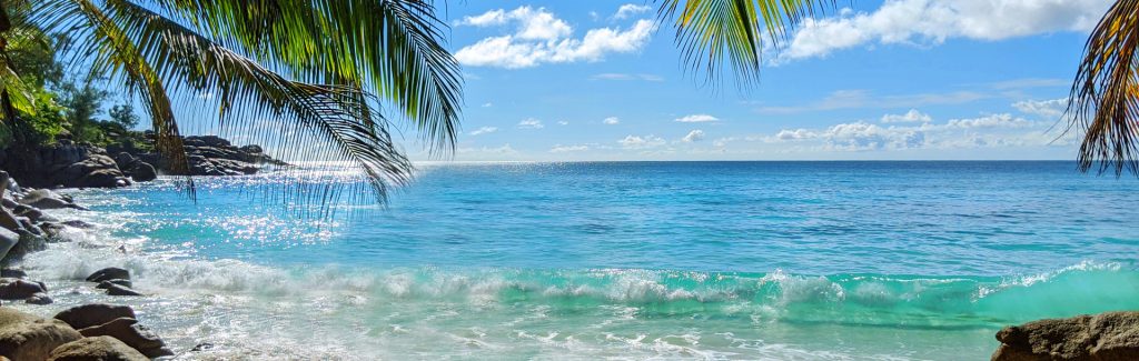 Plages et palmiers aux Seychelles
