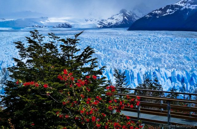 Glaciers du Perito Moreno