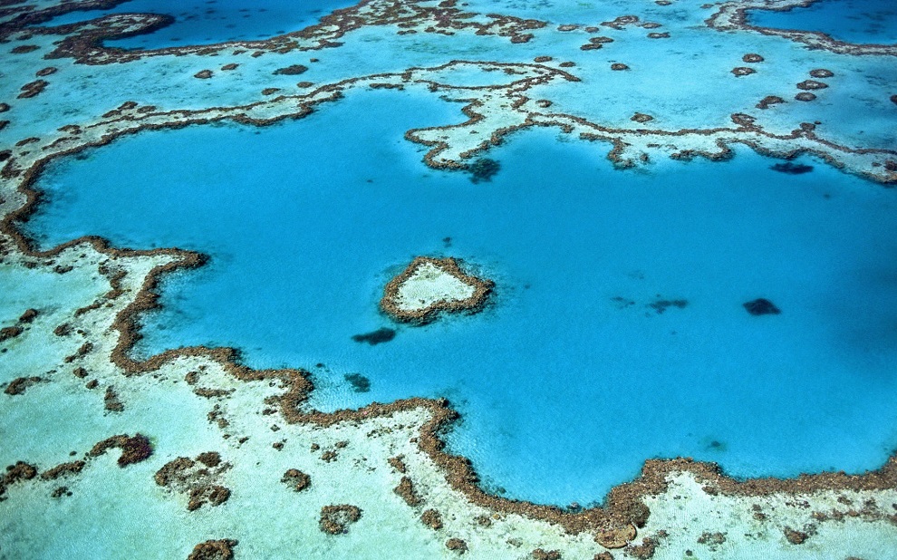 Grande barrière de corail