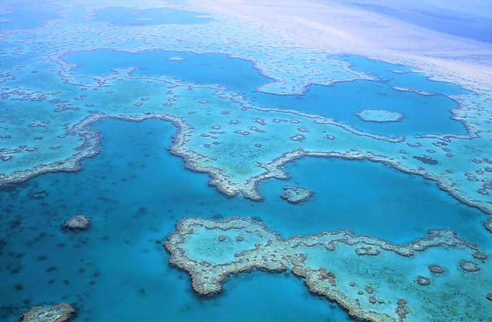 Vue sur la grande barrière de corail