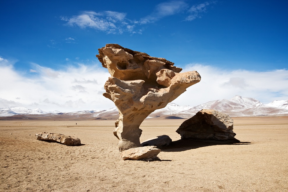 Arbol de Piedra de Bolivie