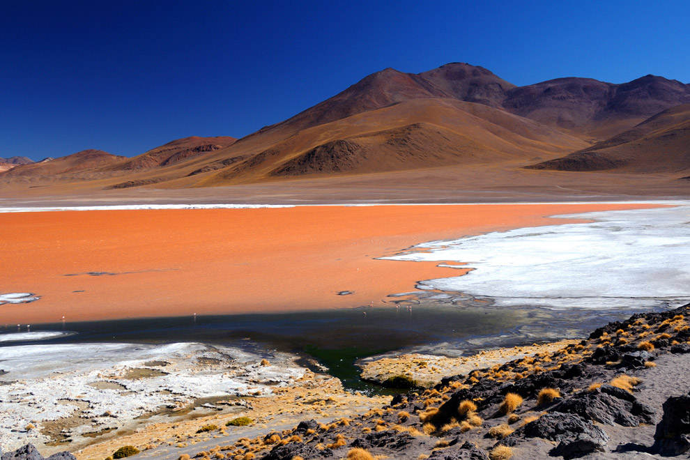 Laguna Colorada de Bolivie