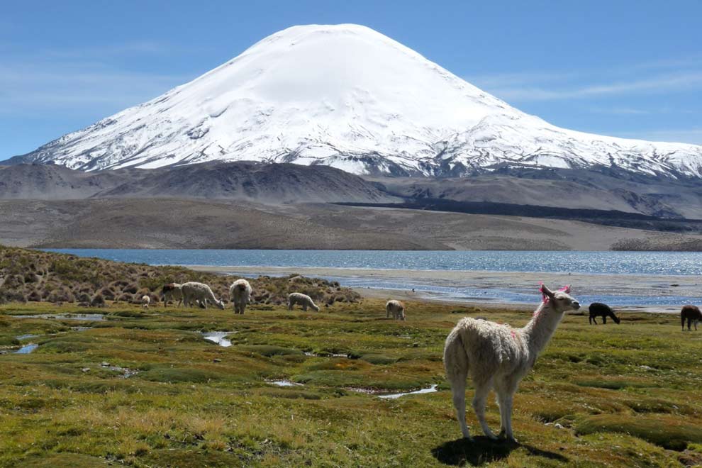 Volcan Parinacota du Chili