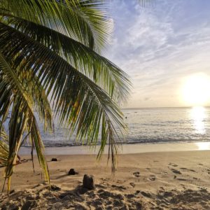 La Martinique, les pieds dans l'eau