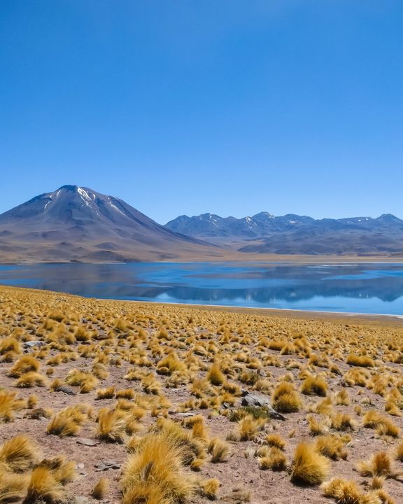 A la découverte des lagunes Miscanti et Miniques au Chili