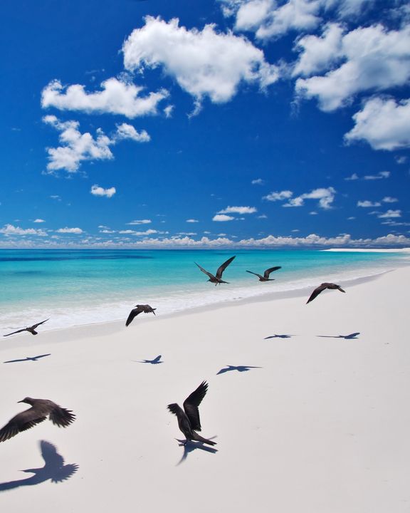 Un rêve de déconnexion : Bird Island aux Seychelles