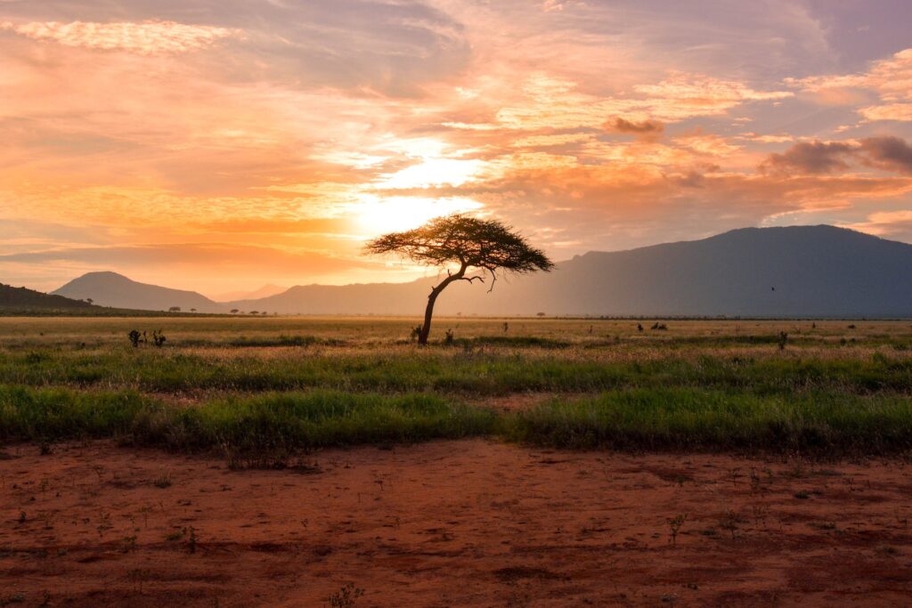Couché de soleil sur la savane, Tsavo East, Kenya