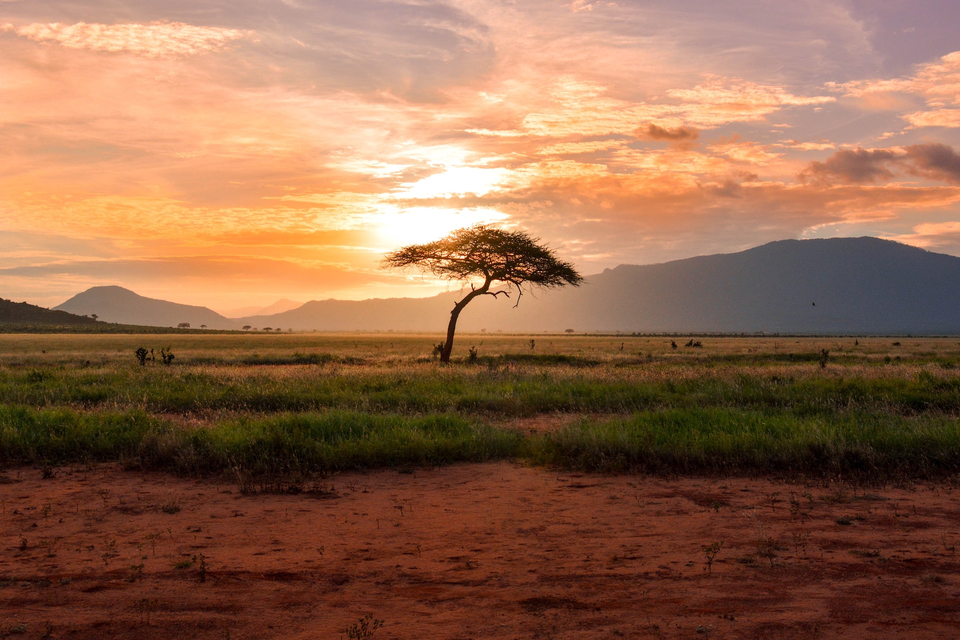 Couché de soleil sur la savane, Tsavo East, Kenya