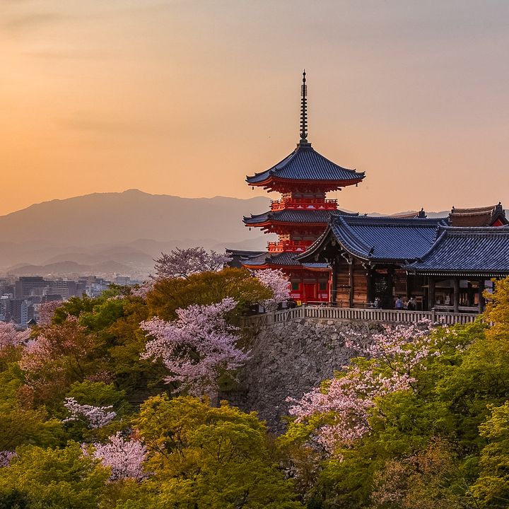 Découvrir le Japon au printemps