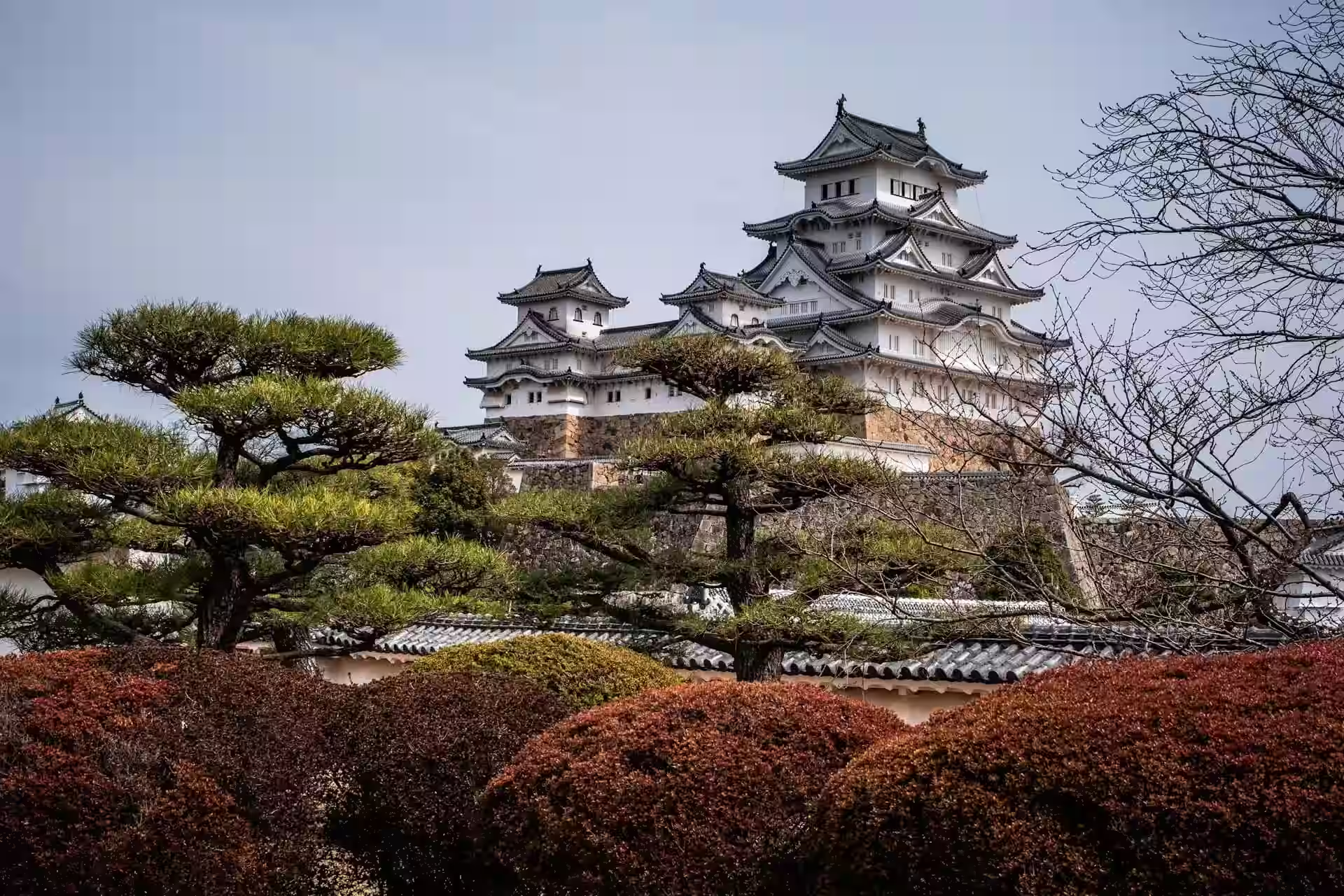 château d'Himeji caché derrière la végétations, temple japonais, Japon