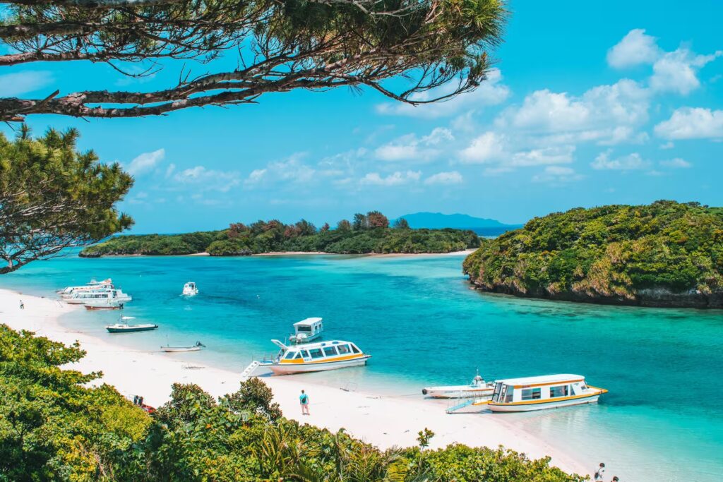 plage aux eaux turquoises et végétation île tropicale d'okinawa Japon