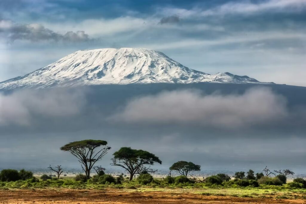 Kilimandjaro au dessus des nuages en fond de la savane Tanzanienne