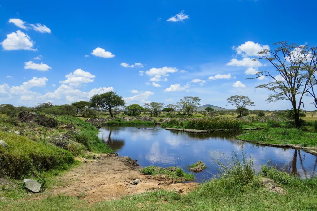 lac Manyara, Tanzanie