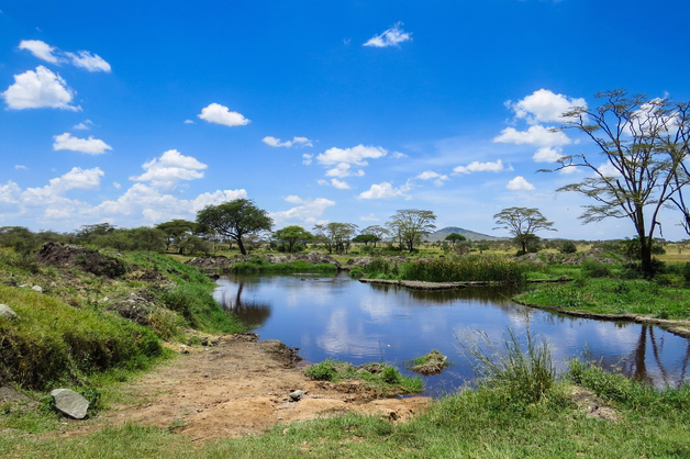 lac Manyara, Tanzanie