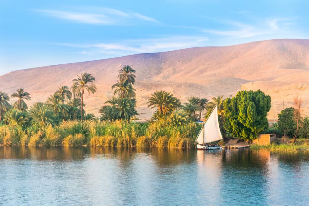 Voilier et palmiers sur le Nil, Egypte