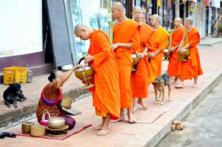 Femme agenouillée devant des moines portant des robes safranées avec de bols à aumônes pour recueillir les offrandes, Luang Prabang, Laos